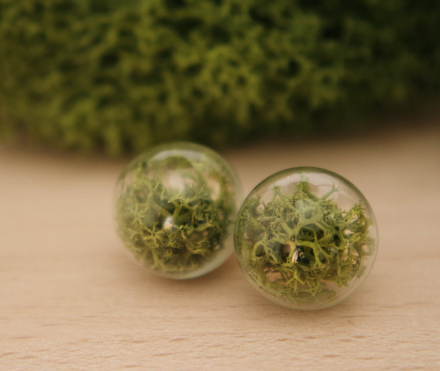 Moss Earrings Moss Studs Real Dried Moss Green Moss Earrings Terrarium Earrings  Botanical earrings Eco friendly jewelry Real moss earrings