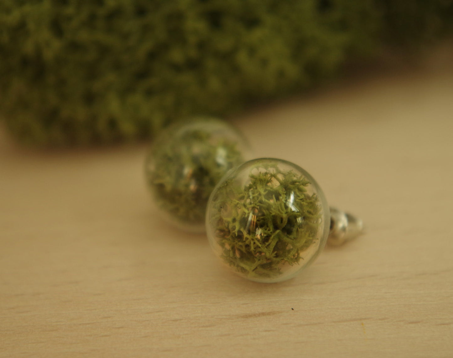 Moss Earrings Moss Studs Real Dried Moss Green Moss Earrings Terrarium Earrings  Botanical earrings Eco friendly jewelry Real moss earrings