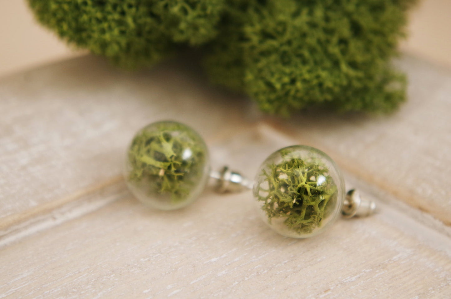 Moss Earrings Moss Studs Real Dried Moss Green Moss Earrings Terrarium Earrings  Botanical earrings Eco friendly jewelry Real moss earrings