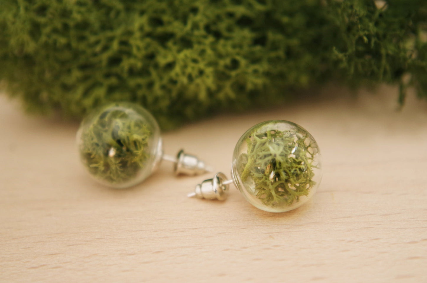 Moss Earrings Moss Studs Real Dried Moss Green Moss Earrings Terrarium Earrings  Botanical earrings Eco friendly jewelry Real moss earrings