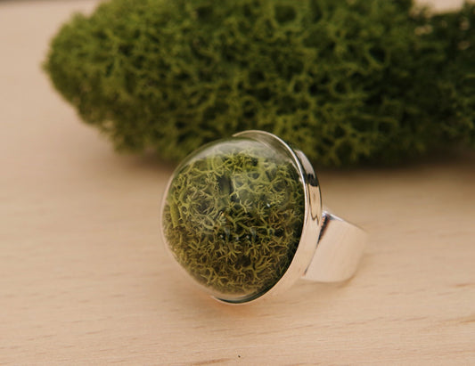 Moss terrarium ring terrarium ring natural moss nature rings real plant ring  forest jewelry nature rings moss jewelry Christmas gift idea