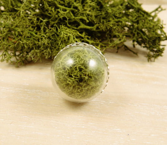 Natural moss ring terrarium jewelry real plant ring forest jewelry Mothers day gift for women green moss  botanical ring idea gift for her