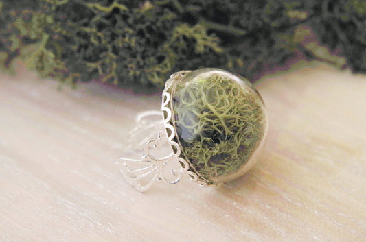 Natural moss ring terrarium jewelry real plant ring forest jewelry Mothers day gift for women green moss  botanical ring idea gift for her