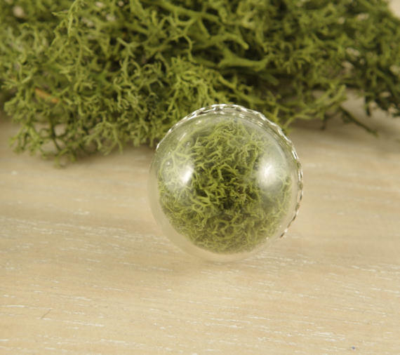 Natural moss ring terrarium jewelry real plant ring forest jewelry Mothers day gift for women green moss  botanical ring idea gift for her