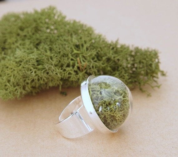 Moss terrarium ring terrarium ring natural moss nature rings real plant ring  forest jewelry nature rings moss jewelry Christmas gift idea