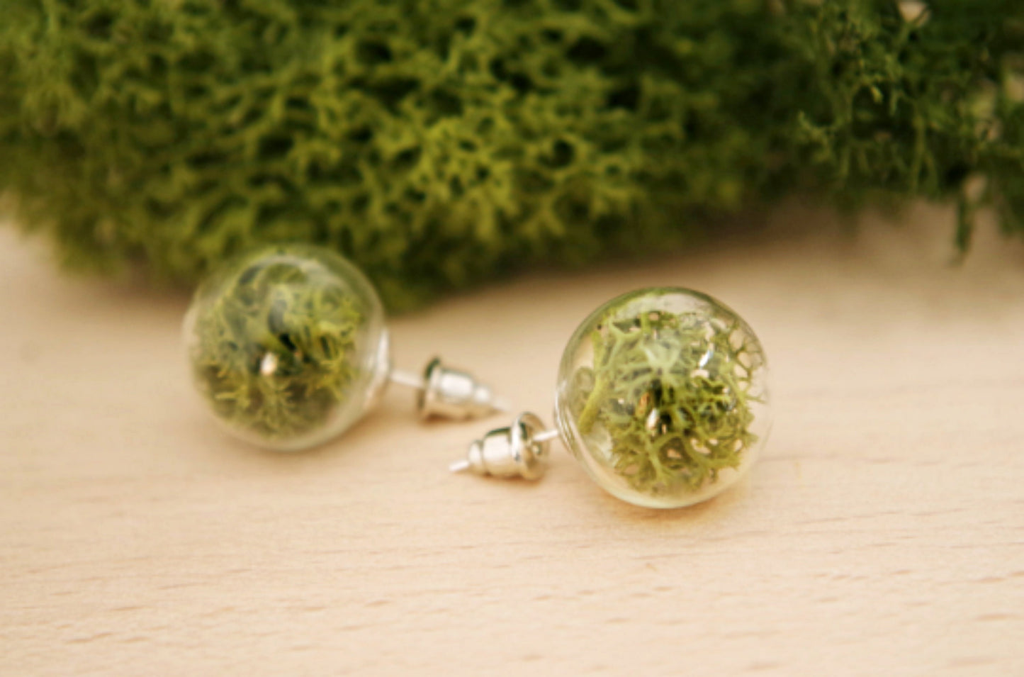 Moss Earrings Moss Studs Real Dried Moss Green Moss Earrings Terrarium Earrings  Botanical earrings Eco friendly jewelry Real moss earrings